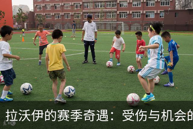 拉沃伊的赛季奇遇：受伤与机会的拉锯战