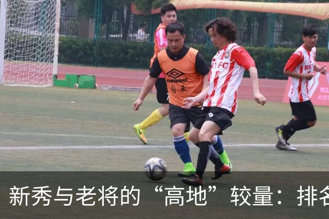 新秀与老将的“高地”较量：排名背后的故事